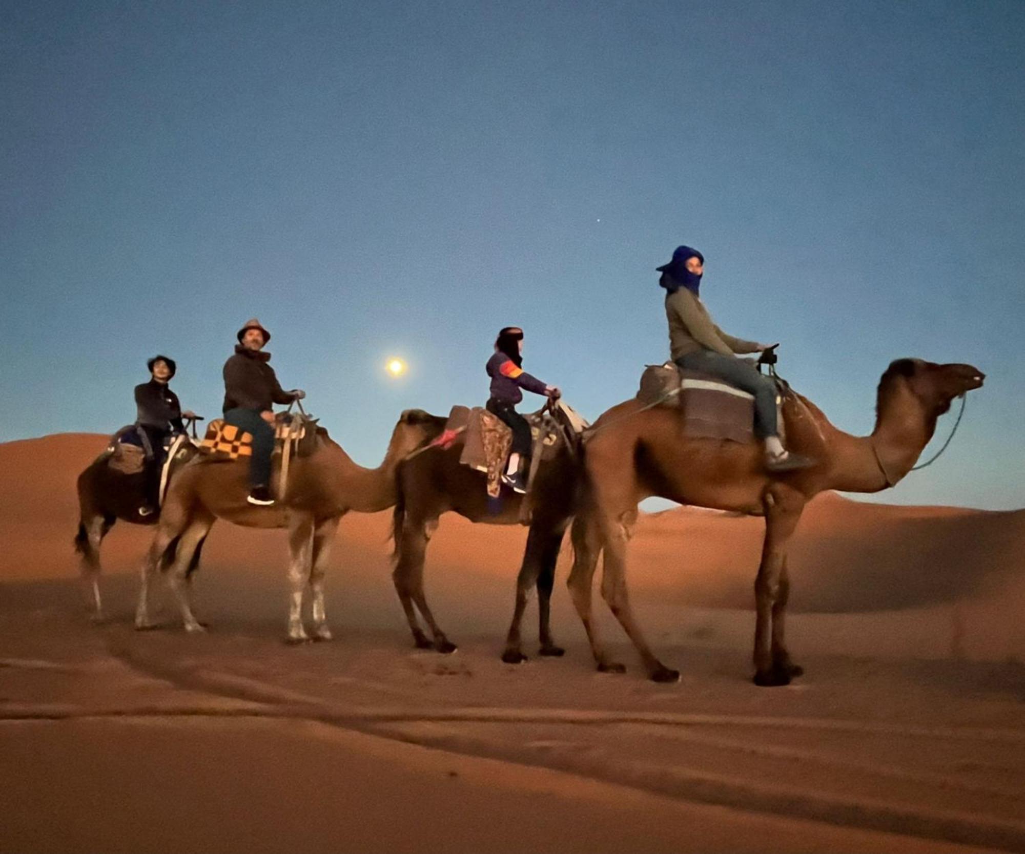 梅尔祖卡Luxury Bedouin Camp住宿加早餐旅馆 外观 照片